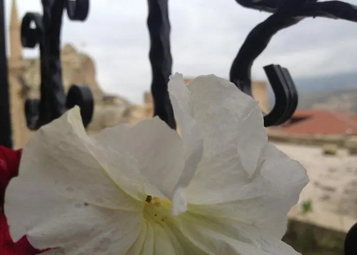 Dar Гостевой дом 3*